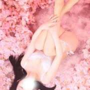 ヒメ日記 2026/02/17 22:47 投稿 のあ 横浜回春性感マッサージ倶楽部