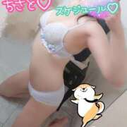 ヒメ日記 2025/11/10 07:19 投稿 ちさと セレブクエスト-koshigaya-