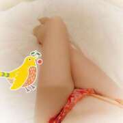 ヒメ日記 2026/01/30 15:12 投稿 ちさと セレブクエスト-koshigaya-