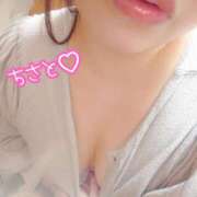 ヒメ日記 2026/02/11 03:16 投稿 ちさと セレブクエスト-koshigaya-