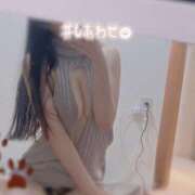 ヒメ日記 2024/12/29 19:24 投稿 ロゼ チューリップ福井別館