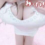 ロゼ ご予約満了🩷 チューリップ福井別館