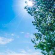 ヒメ日記 2025/05/03 17:52 投稿 新井ちとせ 五十路マダムエクスプレス豊橋店（カサブランカグループ）