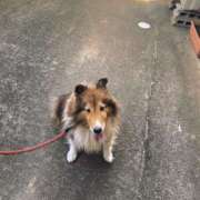 ヒメ日記 2025/06/20 18:36 投稿 新井ちとせ 五十路マダムエクスプレス豊橋店（カサブランカグループ）