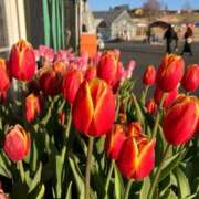 ヒメ日記 2025/02/04 22:59 投稿 ゆうき 夢幻 取手店