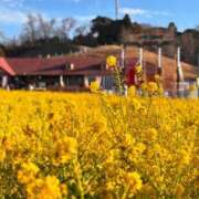 ヒメ日記 2025/02/24 22:09 投稿 ゆうき 夢幻 取手店