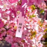 ヒメ日記 2025/03/02 20:17 投稿 ゆうき 夢幻 取手店