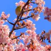 ヒメ日記 2025/03/27 16:45 投稿 ゆうき 夢幻 取手店