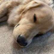 ヒメ日記 2025/03/30 22:52 投稿 ゆうき 夢幻 取手店