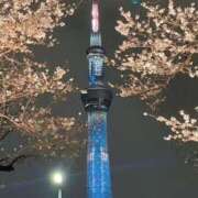 ヒメ日記 2025/03/31 20:45 投稿 ゆうき 夢幻 取手店