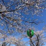 ヒメ日記 2025/04/05 13:10 投稿 ゆうき 夢幻 取手店