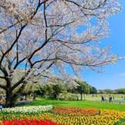 ヒメ日記 2025/04/12 23:48 投稿 ゆうき 夢幻 取手店