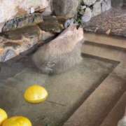 ヒメ日記 2025/01/05 22:45 投稿 ゆうき 夢幻（むげん）