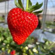 ヒメ日記 2025/02/16 21:52 投稿 ゆうき 夢幻（むげん）