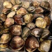 ヒメ日記 2025/05/03 23:54 投稿 ゆうき 夢幻（むげん）