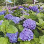 ヒメ日記 2025/06/11 13:46 投稿 ゆうき 夢幻（むげん）