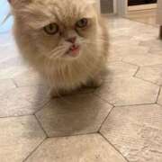 ヒメ日記 2025/07/30 23:01 投稿 ゆうき 夢幻（むげん）