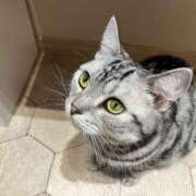 ヒメ日記 2025/08/02 00:42 投稿 ゆうき 夢幻（むげん）