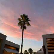 ヒメ日記 2025/09/15 22:46 投稿 ゆうき 夢幻（むげん）