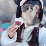 ヒメ日記 2025/12/27 09:46 投稿 こはる 制服これくしょん