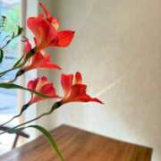 ヒメ日記 2026/02/16 19:44 投稿 香坂 すみれ 人妻セレブ宮殿