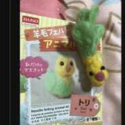 ヒメ日記 2026/02/23 07:43 投稿 香坂 すみれ 人妻セレブ宮殿