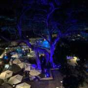 ヒメ日記 2026/03/04 16:01 投稿 香坂 すみれ 人妻セレブ宮殿