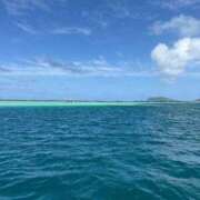 ヒメ日記 2026/03/15 08:30 投稿 香坂 すみれ 人妻セレブ宮殿