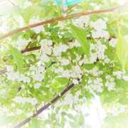 ヒメ日記 2025/02/03 12:01 投稿 フルＯＰ無料　みこと様 こまっちゃうな奈良 Komacchauna nara