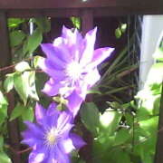 ヒメ日記 2025/04/19 17:04 投稿 フルＯＰ無料　みこと様 こまっちゃうな奈良 Komacchauna nara