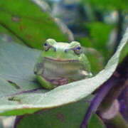 ヒメ日記 2025/05/24 16:59 投稿 フルＯＰ無料　みこと様 こまっちゃうな奈良 Komacchauna nara