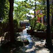 ヒメ日記 2025/08/17 18:46 投稿 フルＯＰ無料　みこと様 こまっちゃうな奈良 Komacchauna nara