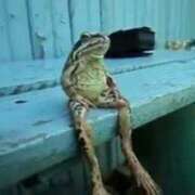 ヒメ日記 2025/09/21 17:32 投稿 フルＯＰ無料　みこと様 こまっちゃうな奈良 Komacchauna nara