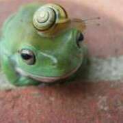 ヒメ日記 2025/09/27 17:22 投稿 フルＯＰ無料　みこと様 こまっちゃうな奈良 Komacchauna nara