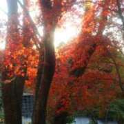 ヒメ日記 2025/10/07 17:29 投稿 フルＯＰ無料　みこと様 こまっちゃうな奈良 Komacchauna nara