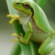 ヒメ日記 2025/10/14 17:27 投稿 フルＯＰ無料　みこと様 こまっちゃうな奈良 Komacchauna nara