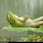 ヒメ日記 2025/10/16 20:28 投稿 フルＯＰ無料　みこと様 こまっちゃうな奈良 Komacchauna nara