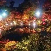 ヒメ日記 2025/10/17 17:14 投稿 フルＯＰ無料　みこと様 こまっちゃうな奈良 Komacchauna nara