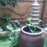 ヒメ日記 2025/10/26 17:45 投稿 フルＯＰ無料　みこと様 こまっちゃうな奈良 Komacchauna nara