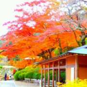 ヒメ日記 2025/10/29 21:47 投稿 フルＯＰ無料　みこと様 こまっちゃうな奈良 Komacchauna nara