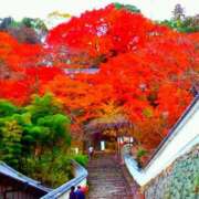 ヒメ日記 2025/11/18 17:14 投稿 フルＯＰ無料　みこと様 こまっちゃうな奈良 Komacchauna nara