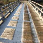 ヒメ日記 2025/11/19 20:00 投稿 フルＯＰ無料　みこと様 こまっちゃうな奈良 Komacchauna nara