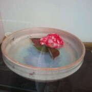 ヒメ日記 2025/11/21 17:31 投稿 フルＯＰ無料　みこと様 こまっちゃうな奈良 Komacchauna nara