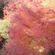 ヒメ日記 2025/11/23 18:38 投稿 フルＯＰ無料　みこと様 こまっちゃうな奈良 Komacchauna nara