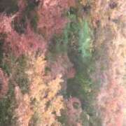 ヒメ日記 2025/11/28 21:01 投稿 フルＯＰ無料　みこと様 こまっちゃうな奈良 Komacchauna nara