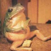 ヒメ日記 2025/12/06 17:16 投稿 フルＯＰ無料　みこと様 こまっちゃうな奈良 Komacchauna nara