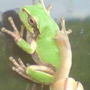 ヒメ日記 2025/12/21 11:53 投稿 フルＯＰ無料　みこと様 こまっちゃうな奈良 Komacchauna nara