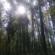 ヒメ日記 2026/01/12 17:11 投稿 フルＯＰ無料　みこと様 こまっちゃうな奈良 Komacchauna nara