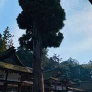 ヒメ日記 2025/02/11 07:36 投稿 キレカワ人妻　みほ様 こまっちゃうな奈良 Komacchauna nara