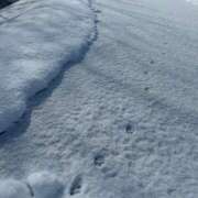 ヒメ日記 2025/02/24 07:35 投稿 キレカワ人妻　みほ様 こまっちゃうな奈良 Komacchauna nara